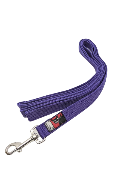 Black Dog Beachcomber Regular Purple