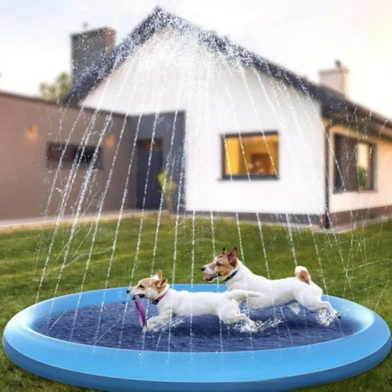 Two dogs on splash pad