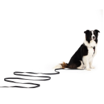EzyDog™ Track N Train Lead 3m