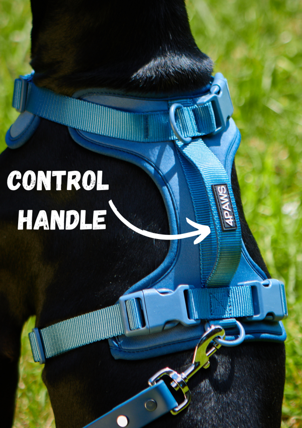 Air Harness 2.0 - Apple, Lilac and Navy - Image 5