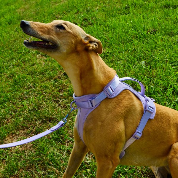 Air Harness 2.0 - Apple, Lilac and Navy - Image 10