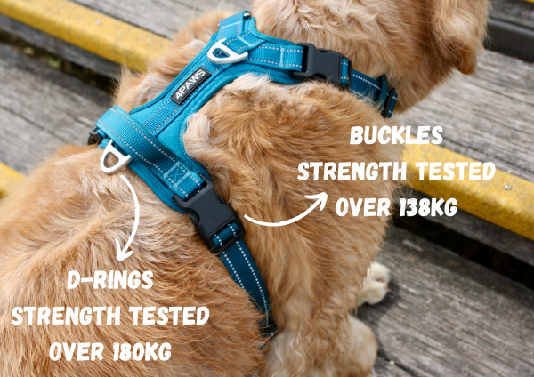 Adventure Harness 2.0 - Image 10
