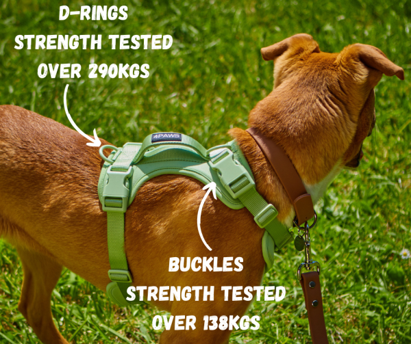 Air Harness 2.0 - Apple, Lilac and Navy - Image 3