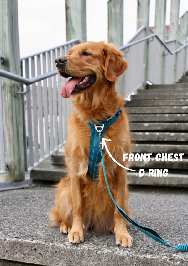 Adventure Harness 2.0 - Image 9