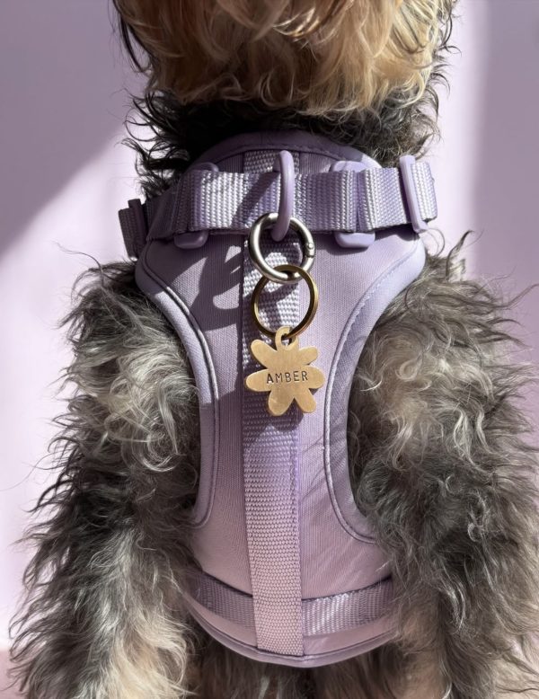Air Harness 2.0 - Apple, Lilac and Navy - Image 2
