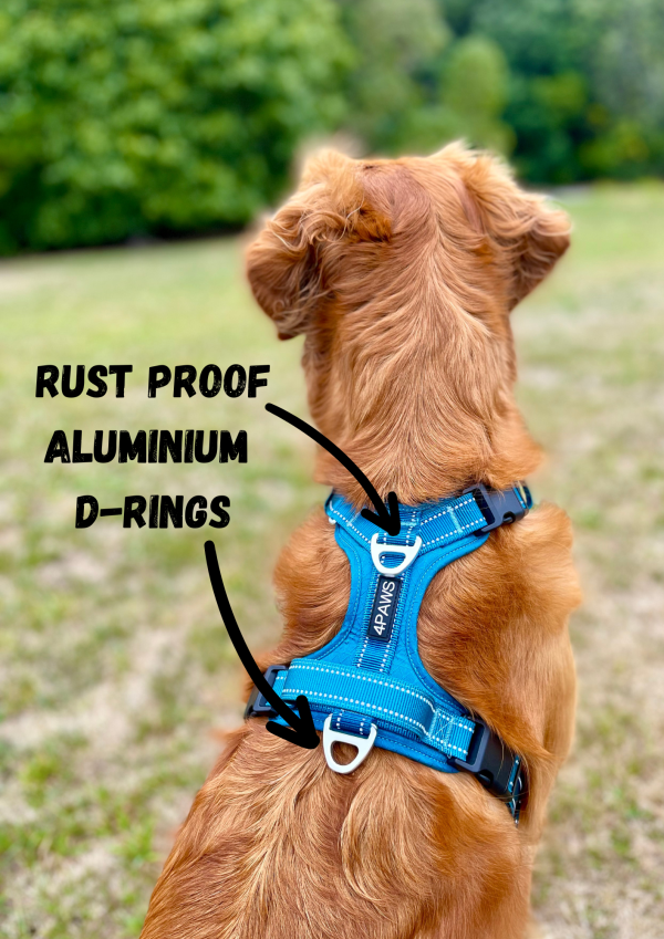 Adventure Harness 2.0 - Image 8