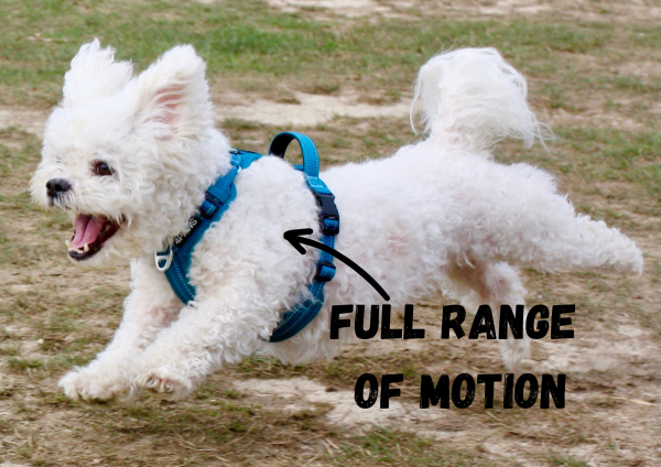 Adventure Harness 2.0 - Image 7