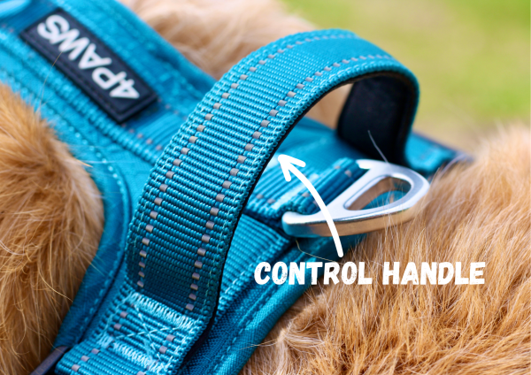 Adventure Harness 2.0 - Image 6