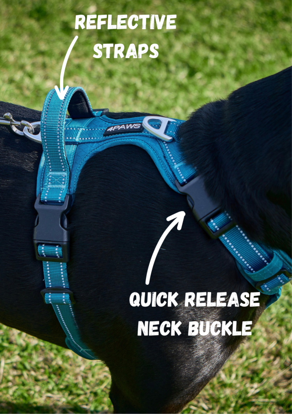 Adventure Harness 2.0 - Image 5