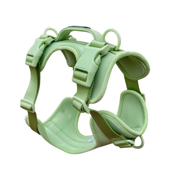 Air Harness 2.0 - Apple, Lilac and Navy - Image 11