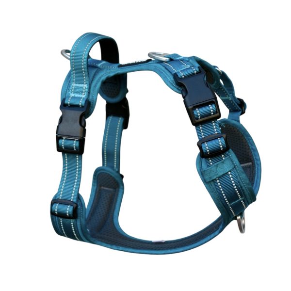 Adventure Harness 2.0 - Image 3