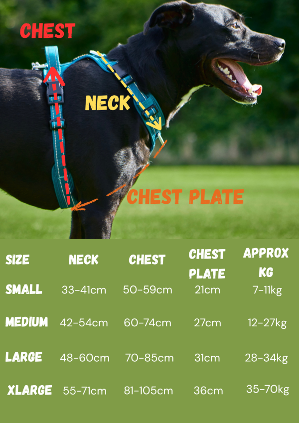 Adventure Harness 2.0 - Image 12