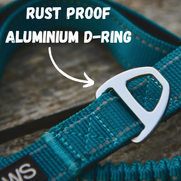 Adventure Lead - Image 2