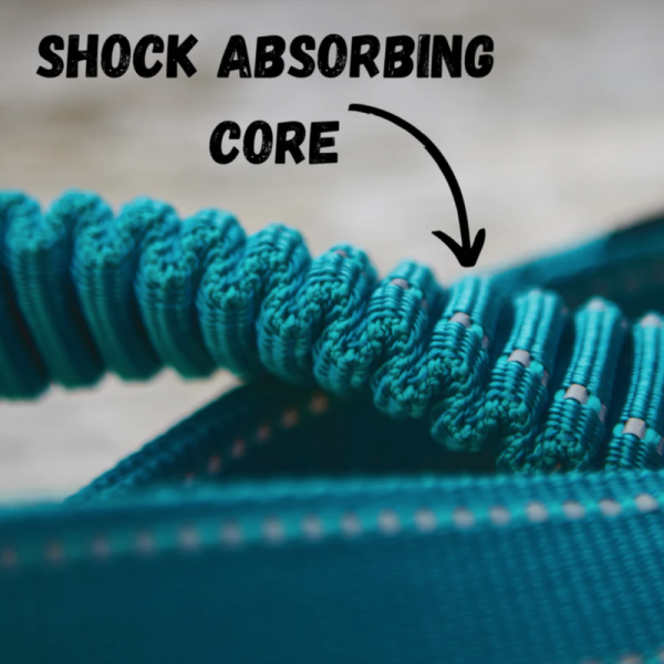 Adventure Leash shock absorbing core