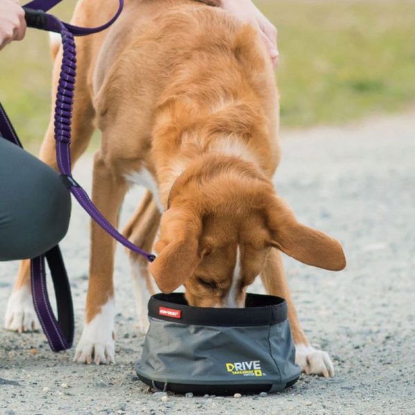 EzyDog Drive Takeaway™ Food Bowl 1L - Image 2